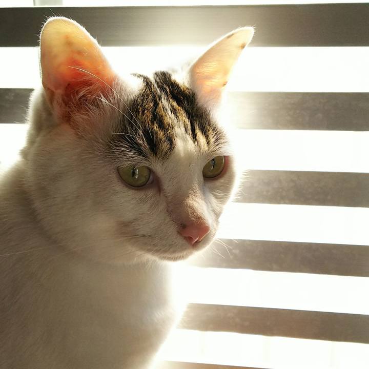 Af839a0b 69de 4692 8b1c 7288c02e8a42 1552298282281