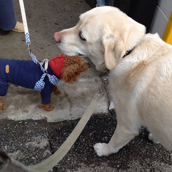 Af83bc3d 2955 442a 876d 3bb71b0bd9e9 1648107580099