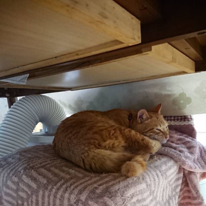 Af83cdb8 ac61 40c2 85ce 8e21ad1e3597 1642676652922