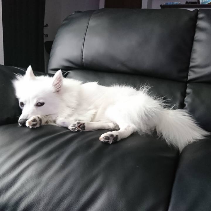 Af83d9fb aa4d 444e 8ca2 55591e4356b7 1534918375777