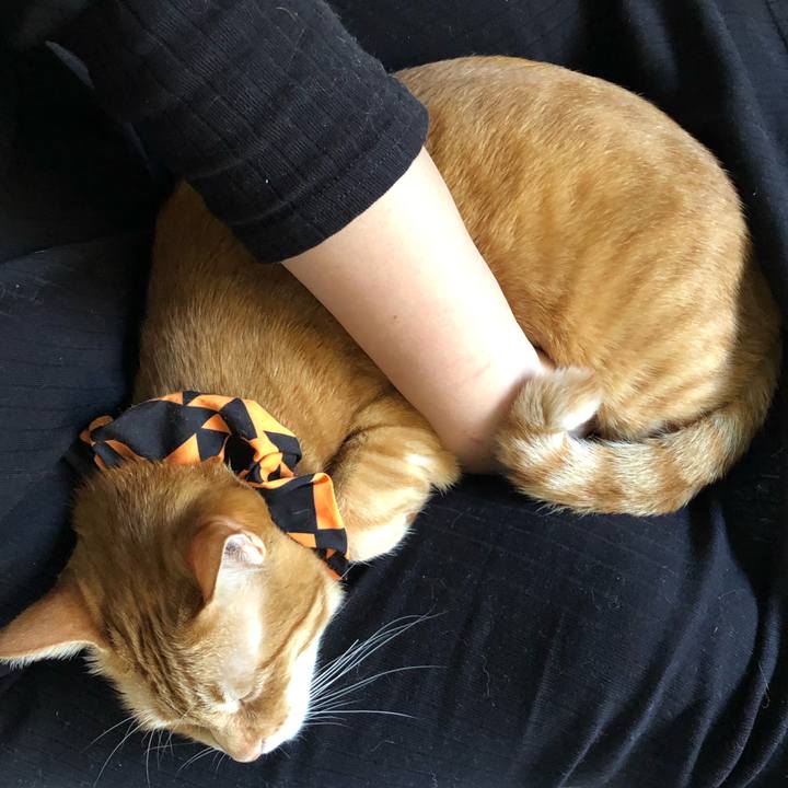 Af84203f 0197 4c40 9947 5119a4511517 1571547669176