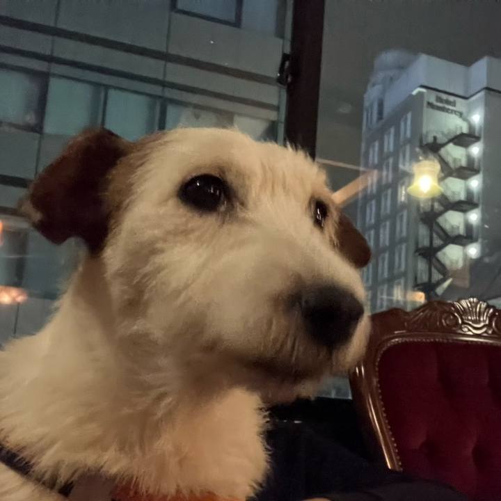 Af842b8e 8d32 4948 98ff 9146660f8ae9 1670671556668