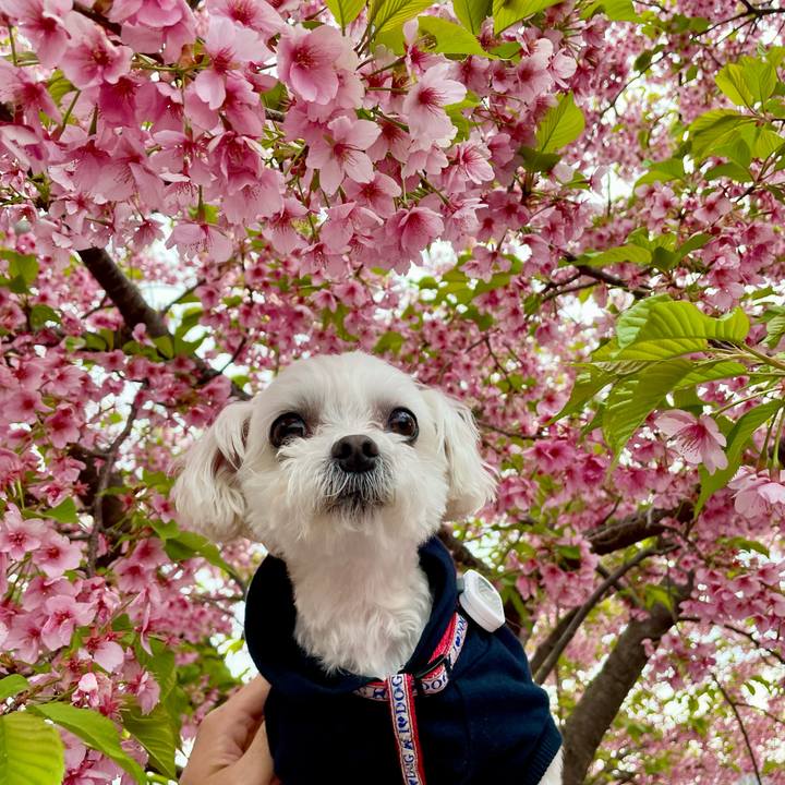 Af843909 ecbd 4313 a09d a6b8664c3711 1647835524391