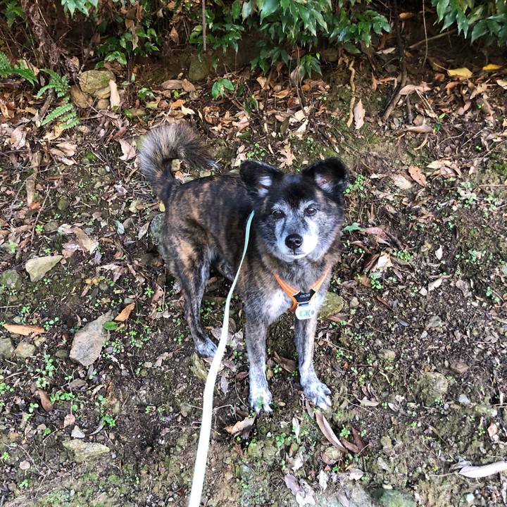 Af844906 83ae 4b09 99cd 34dae42d3264 1705318425604