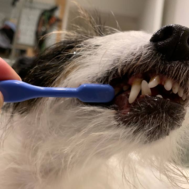 Af846cb6 2f26 40c0 a013 67c198a8f0f4 1667307360712