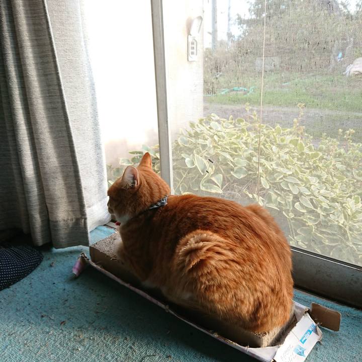 Af84f493 a87d 447f baa5 a993ddbc2068 1573285577059