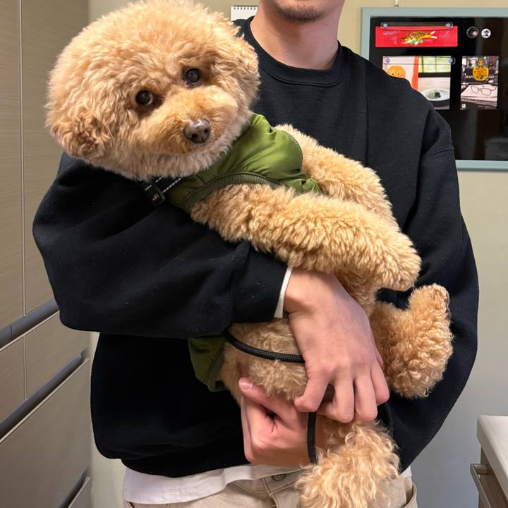 Af850525 3303 4abb 94f3 3e1a705d3b3f 1767414741712