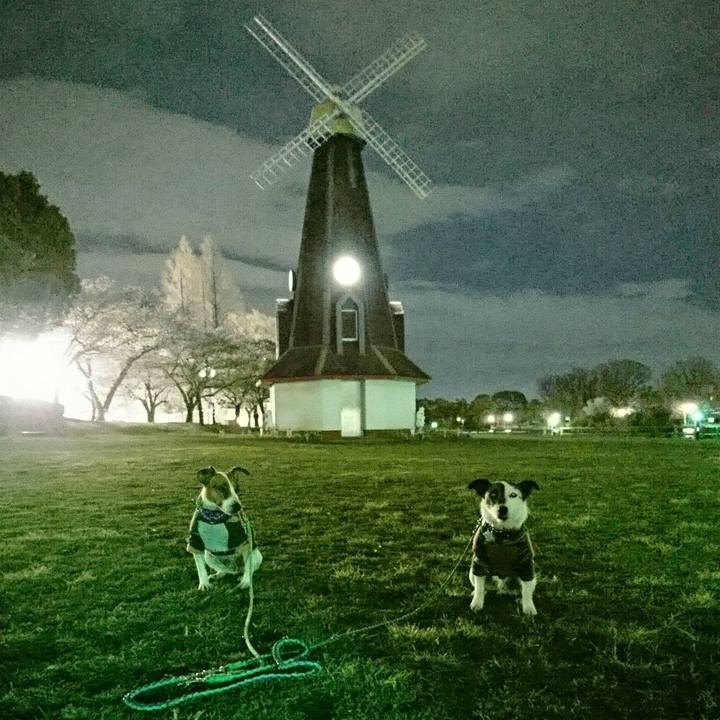 Af8534a4 2b57 4db1 883c 6e8cd1d8346c 1585303248276