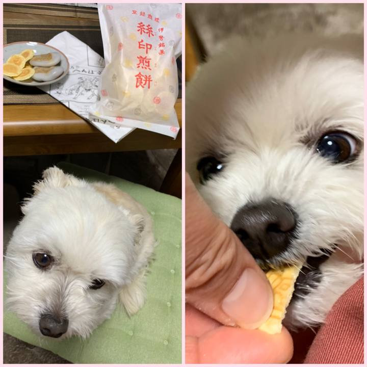 Af8535d1 47ac 4381 861a a916026730b0 1616300668329