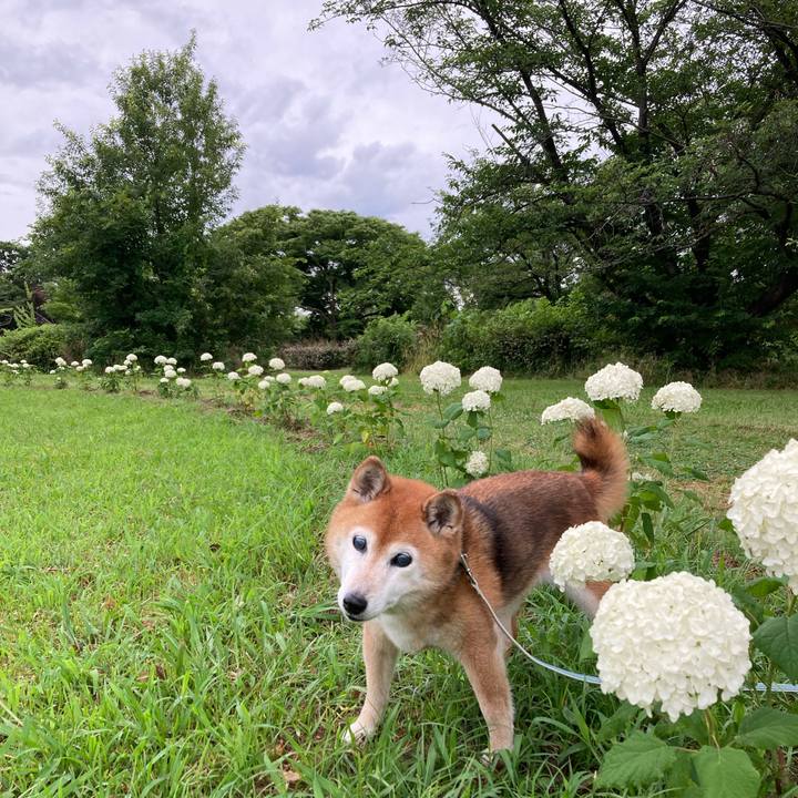 Af854267 106f 48bd 8ccb 05b1348d2fe0 1750726979971