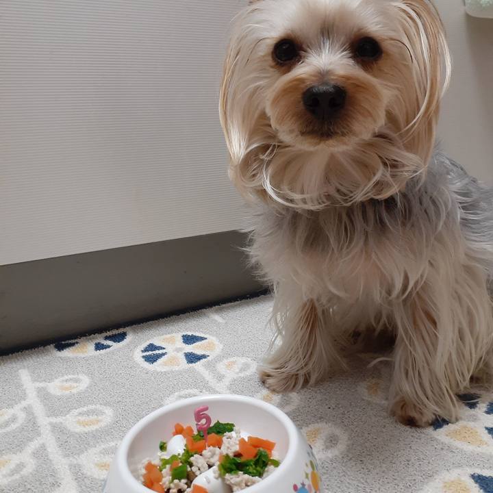 Af85d83a 8b20 48e8 aee9 53dfb46160a2 1583054188248