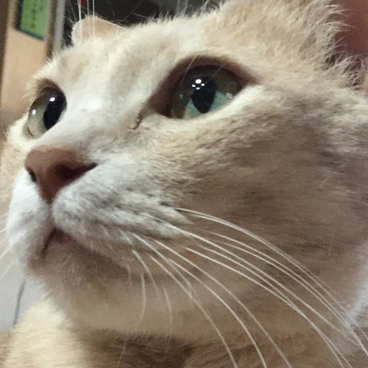 Af85dcf4 3d64 45bb b4a1 f9e6eaaca78f 1581221467761