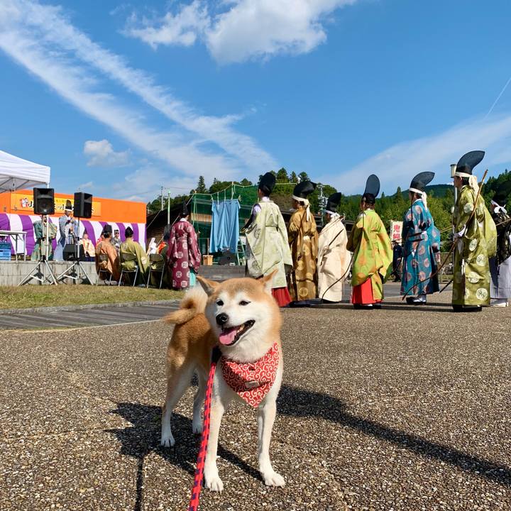 Af85e9f1 9007 4d4c 8667 1c40c7f3e686 1666514334016