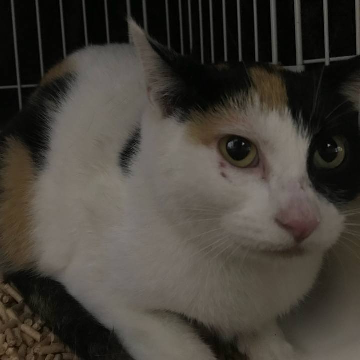 Af8690d5 e248 40fb 9775 14a745f0e4ee 1510616281616