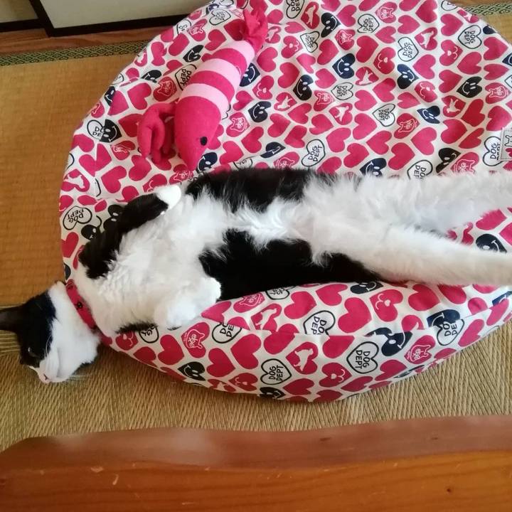 Af869798 9361 4815 8059 cffd08a77980 1560846400876