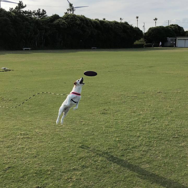 Af86dc51 51f7 41f2 917f bc910f2c5731 1529229436701