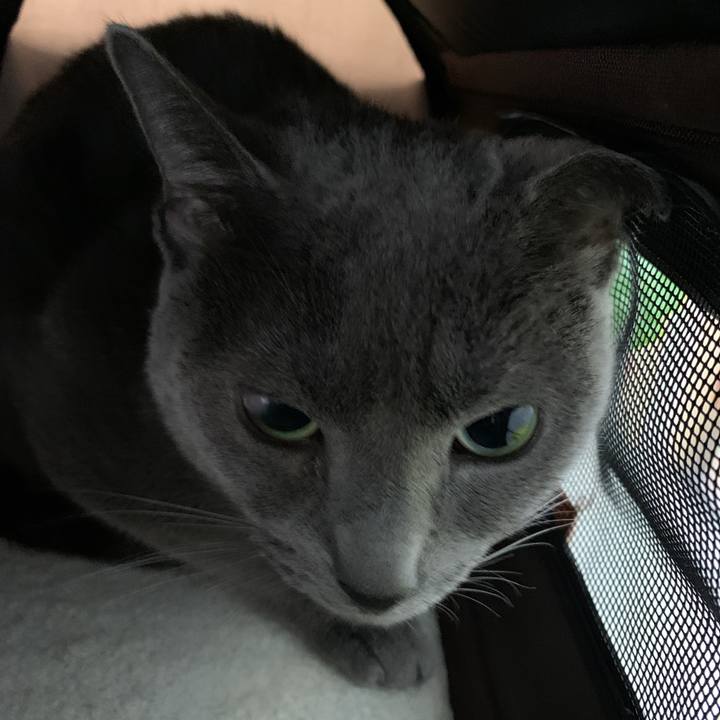 Af86e37e 9936 4f6c a946 1c271e297098 1604631294849