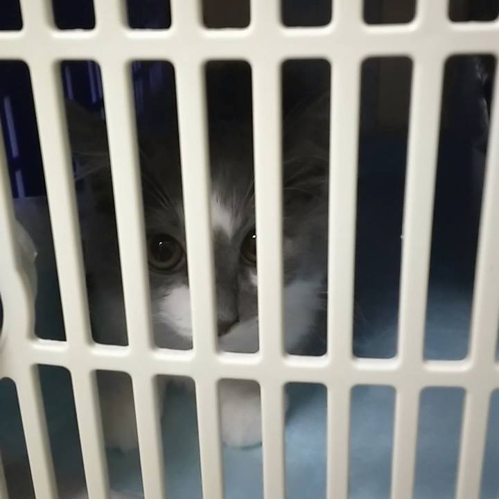 Af86e5eb 9c81 48d6 b3c4 487b0213990a 1564050736487