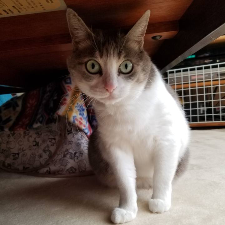 Af87a142 45af 4454 8e88 093e44414387 1674209921817