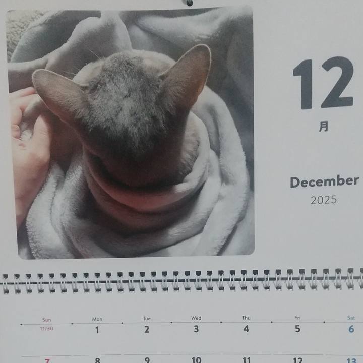 Af87a814 f95b 480f be36 dac991543c20 1764538154099