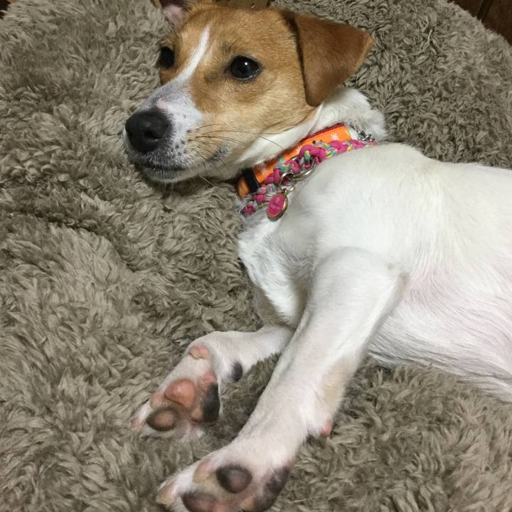 Af87c7f5 2042 4542 a94f 956c0bbe7b05 1519687425536