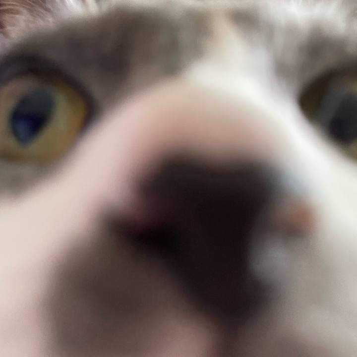 Af88320f 37ba 4363 b509 7d4916347011 1659738437081