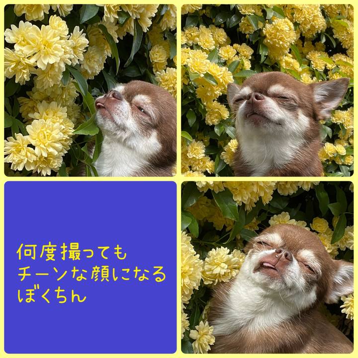 Af883758 1655 4fab a8e0 050ce78b2f23 1745300657946