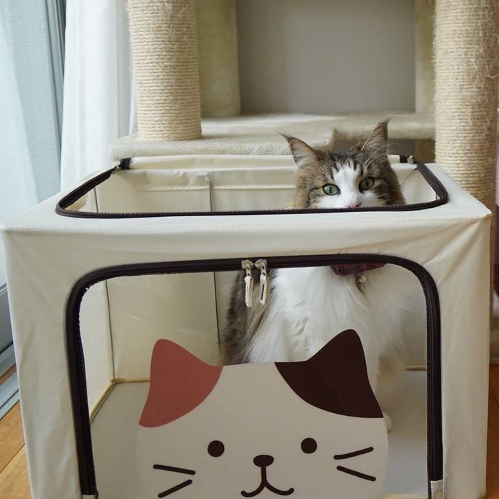 Af887fd3 8b6f 414d 9dac ef2336f9b6cc 1615026727000