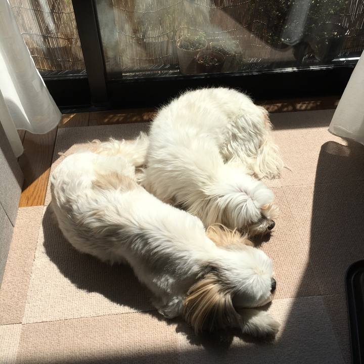 Af888d38 bec3 456f bd01 d26309ce8ca1 1618041365162