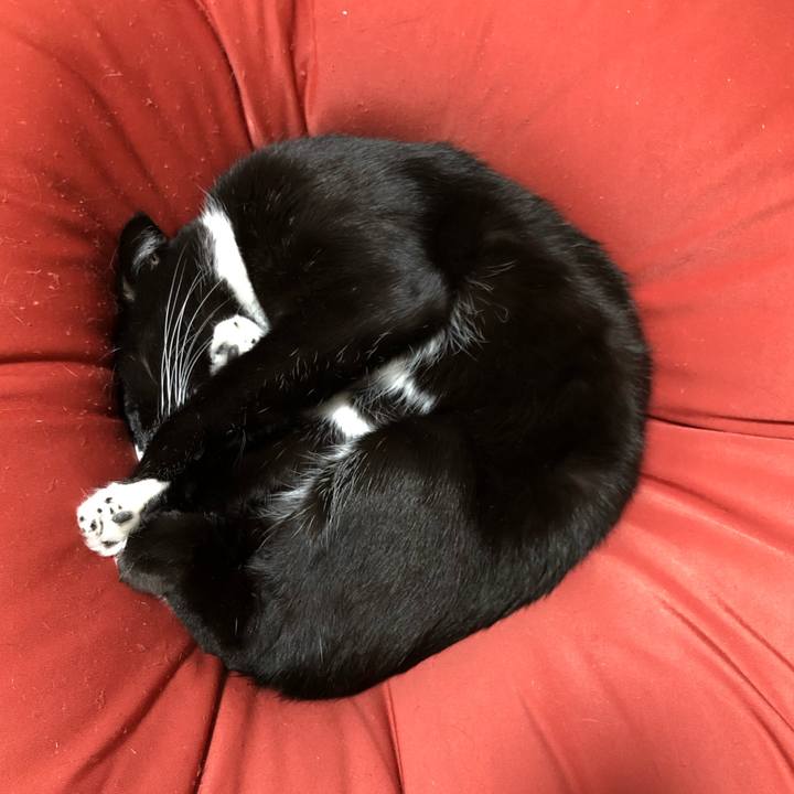 Af88974f b154 46c8 9b26 49aa1d0df921 1638243586330