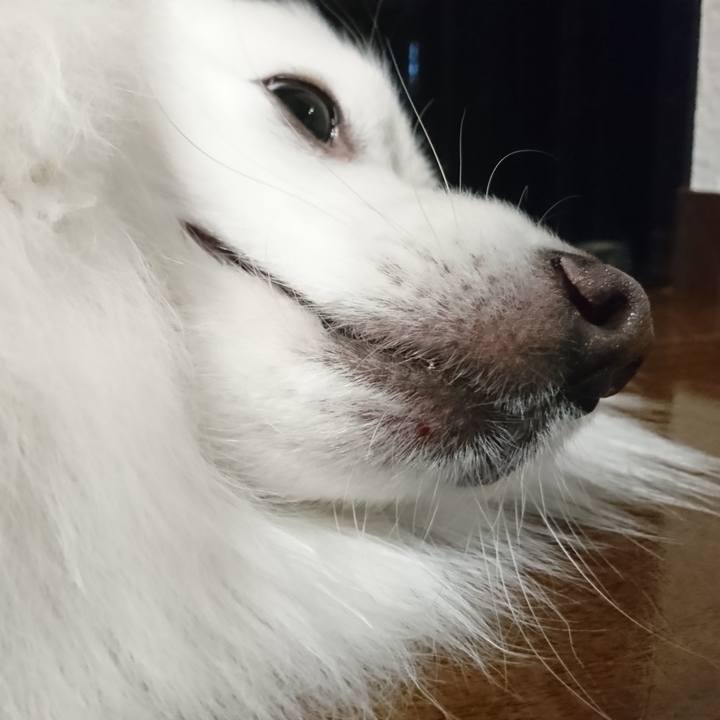 Af88a4a5 cbe3 4e1b a28c 2cefdf954bde 1613806643364