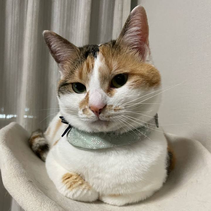 Af88ae5d 0f15 4834 be82 f045abffd3ad 1681556254045