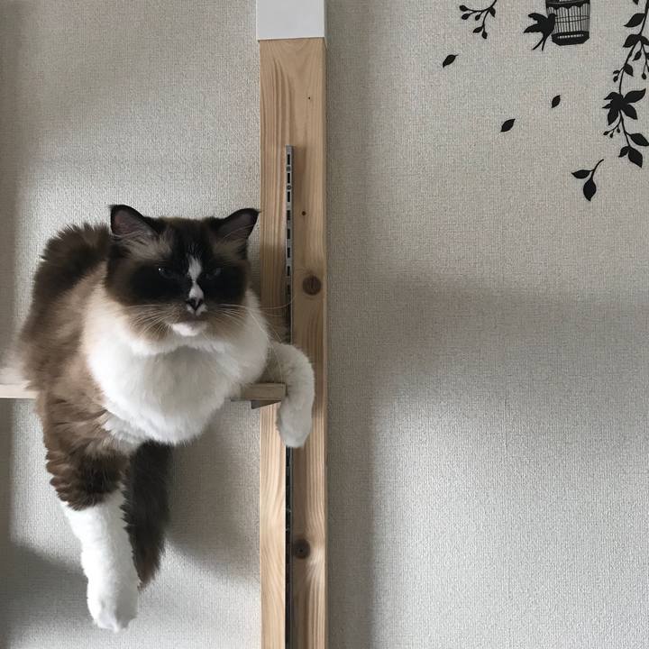 Af88af3d 373a 4373 916f 076c03bfbe50 1531659815481