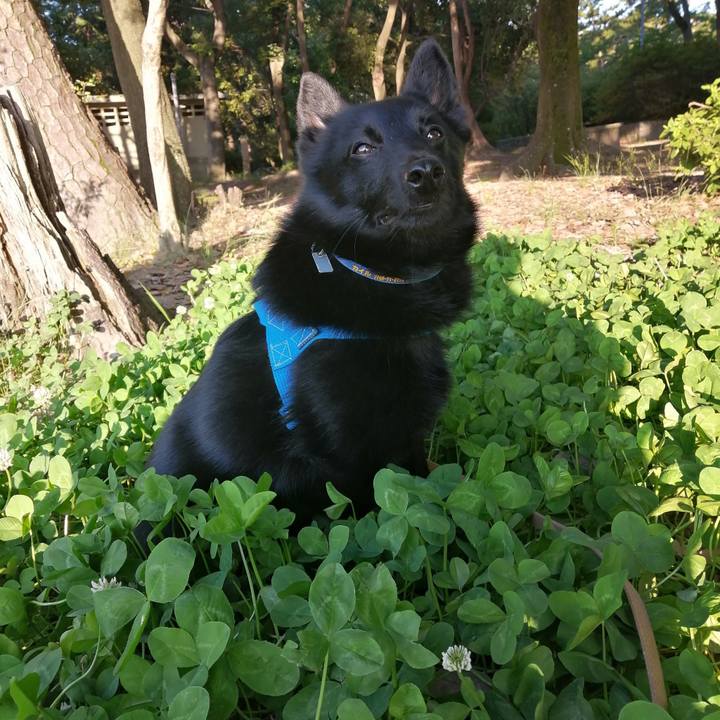 Af88f714 6378 4ccf b9cc e7d9a460c10e 1622408125368