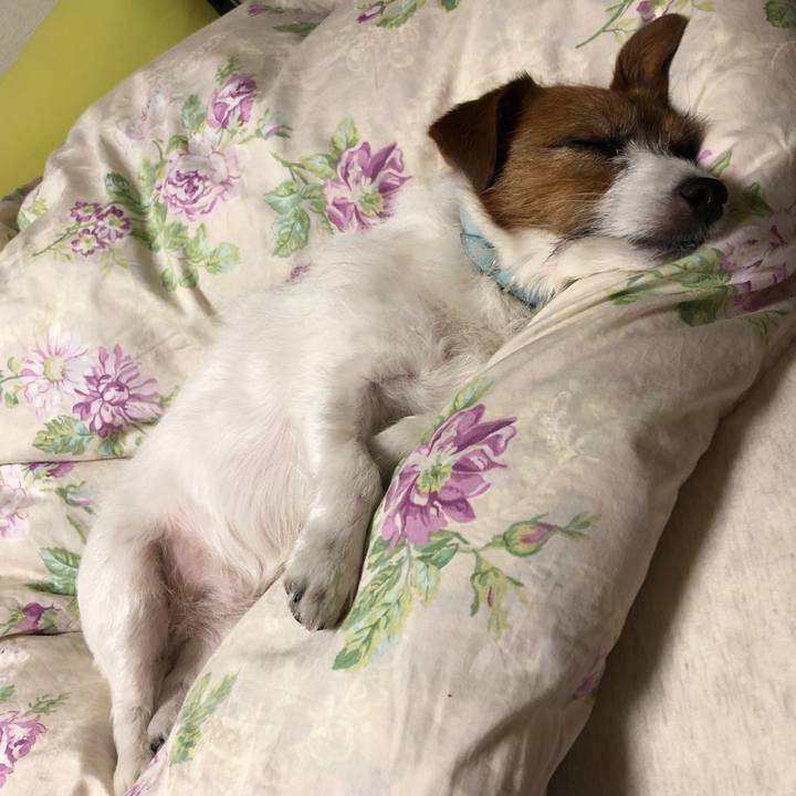 Af892239 b7b7 487b b57c a4f86ff87d3c 1557675138168