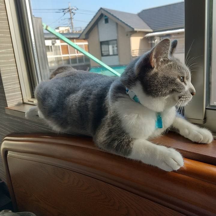 Af8954f7 b017 41fb ad32 71e6093935f2 1624662758031