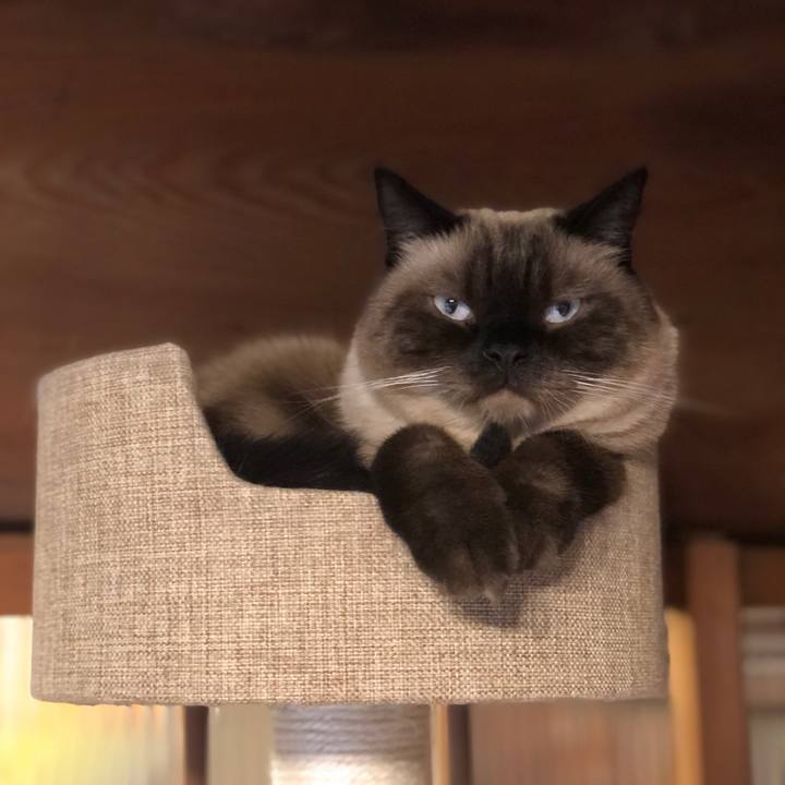 Af895e7e 5919 403b a9e1 8f0c67b73ecf 1629073104228