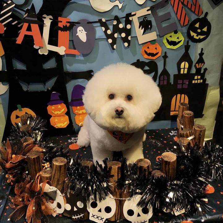 Af89639e de53 48da 9b49 b841550cf1e1 1635593501503