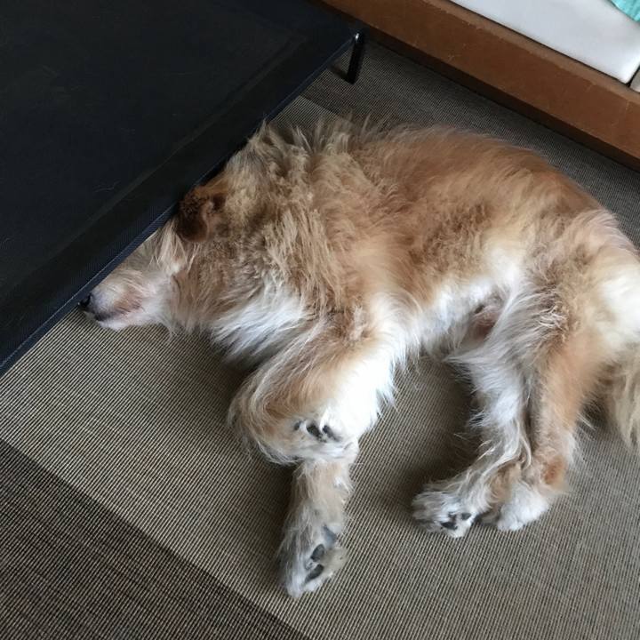 Af89772e 7b26 4fec 82ef d96eedfae03d 1625978682252