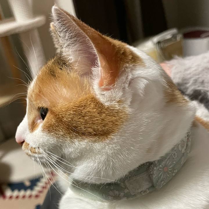 Af89a16f dbef 45c5 a275 422a87277fd5 1675506065518