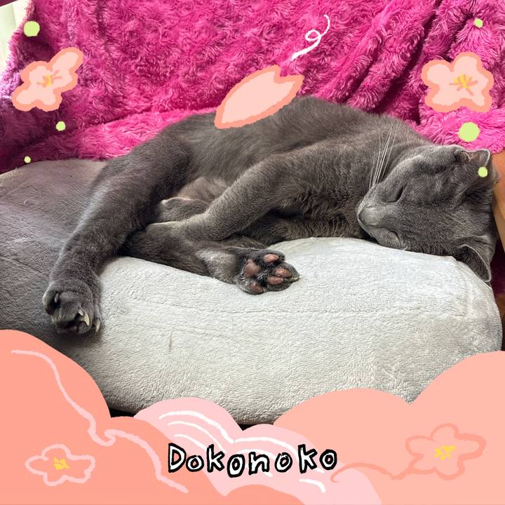 Af89a7e7 e1ce 4b71 9a90 47bab69a5784 1775192322639