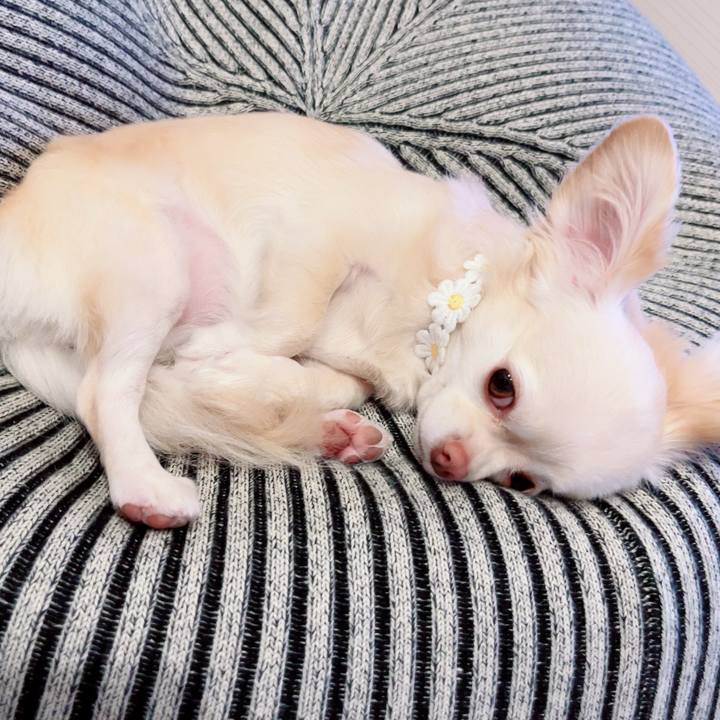 Af89f183 71ca 40db 95bc 070101bbb3e6 1694761441640