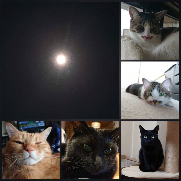 Af89f304 b7ea 4964 a7f2 f626e3f817ab 1601596694361