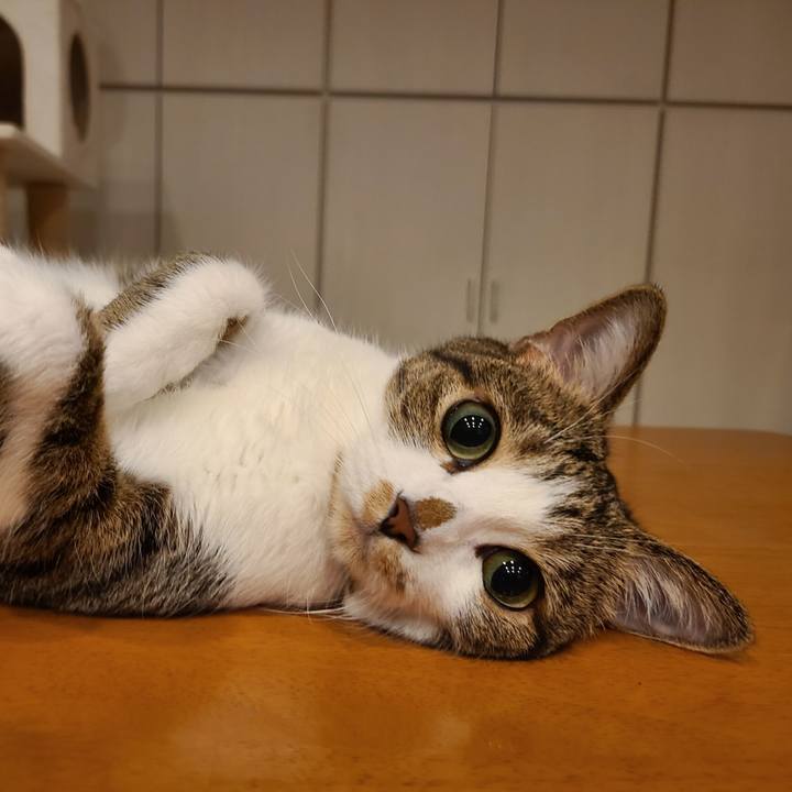 Af89f5f7 d1c6 4292 a383 0c7a56f08960 1603290142477