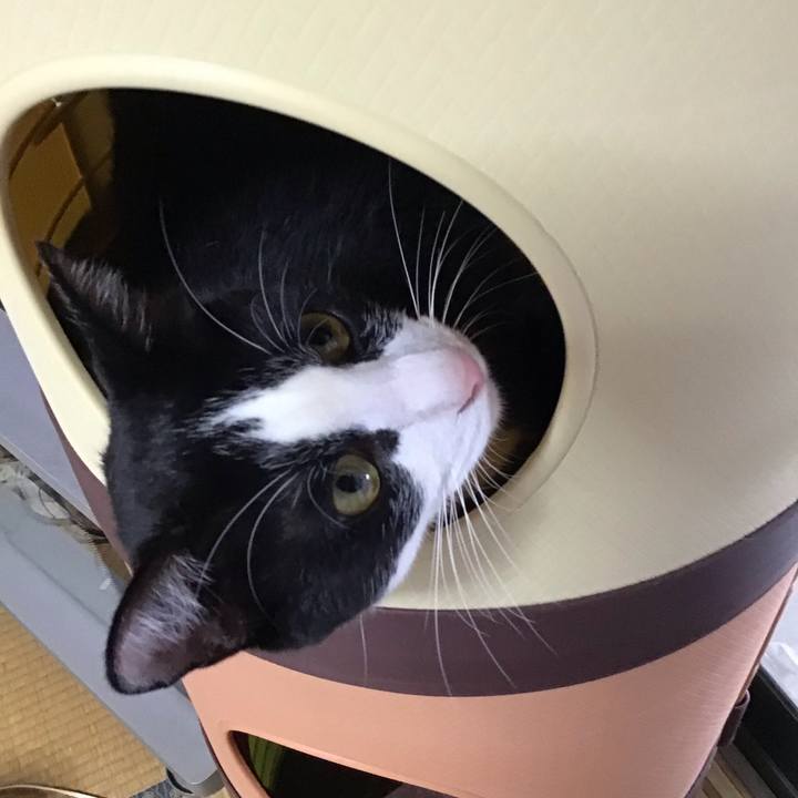 Af8a035b acab 4272 96ce 74c5b800b66e 1659777466291