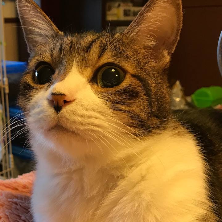 Af8a1ed4 8e51 4762 abbc 3c0210a4decf 1525477408370