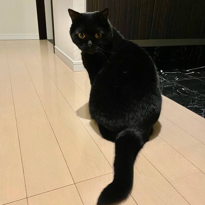 Af8a5dac 39a7 4a05 b014 11dede04dbc2 1670412815639