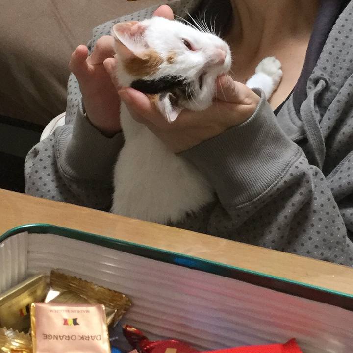 Af8a7f54 5a46 4520 88e8 1fe9cc6bf702 1544401729081