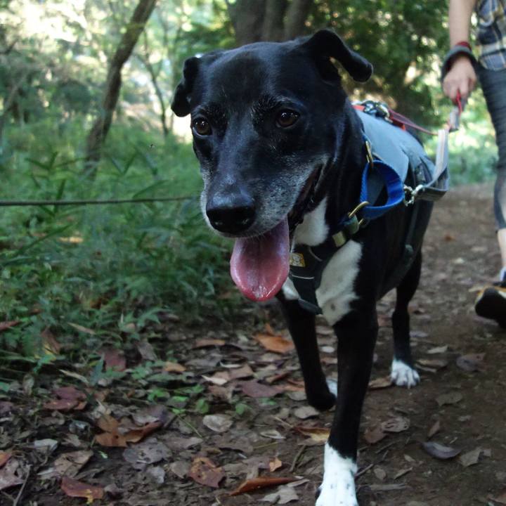 Af8ac970 c758 461b 9df2 2338f2ef9659 1726011610543