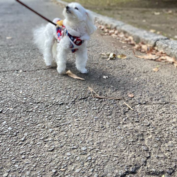 Af8ad29d 4431 4059 a626 e0f53b85e199 1640657545158